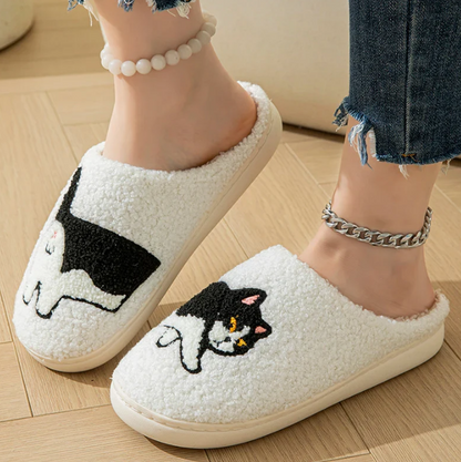 Cat Slides